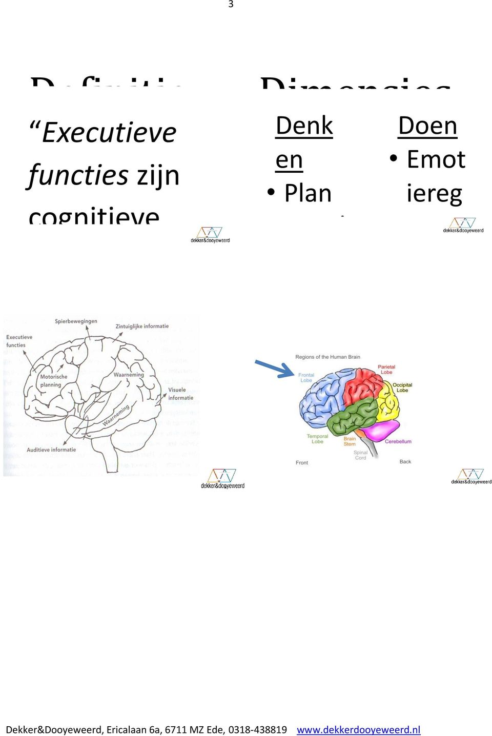 Dimensies Denk en Plan