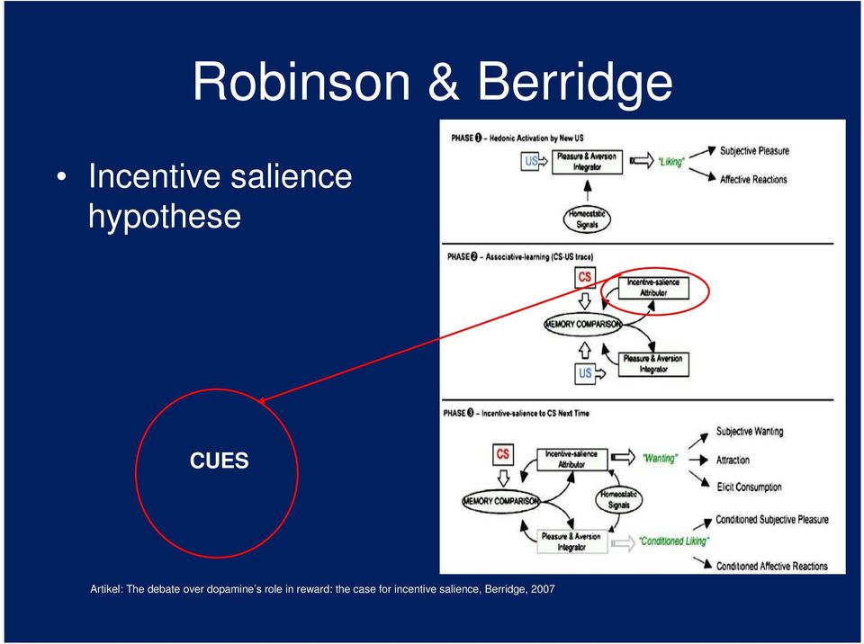 over dopamine s role in reward: the