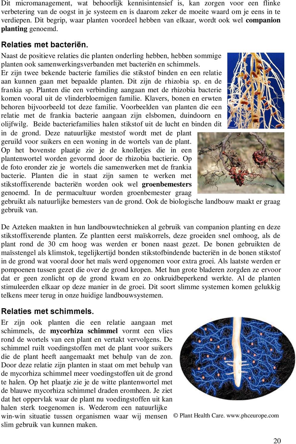 Naast de positieve relaties die planten onderling hebben, hebben sommige planten ook samenwerkingsverbanden met bacteriën en schimmels.