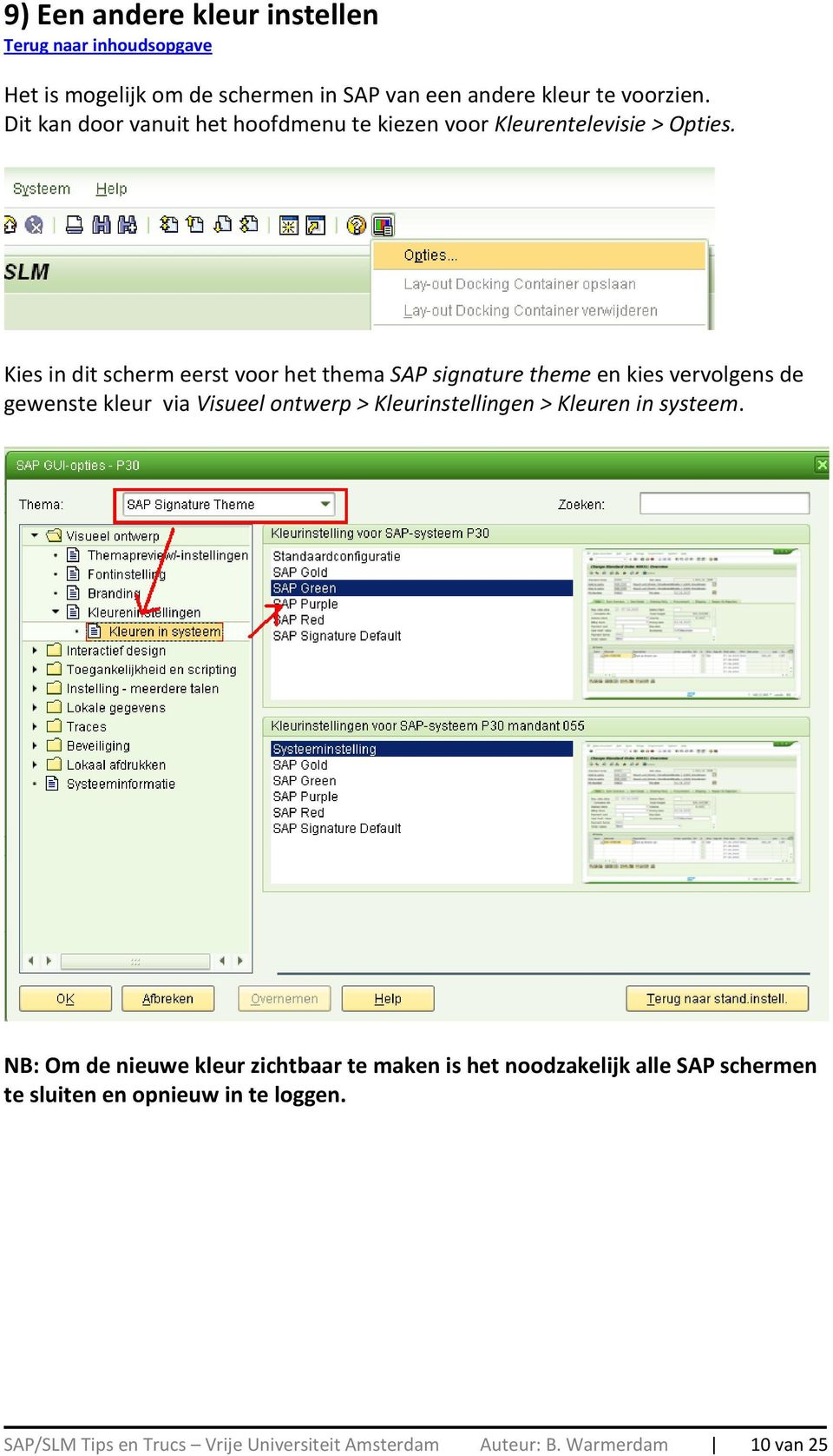 Kies in dit scherm eerst voor het thema SAP signature theme en kies vervolgens de gewenste kleur via Visueel ontwerp >