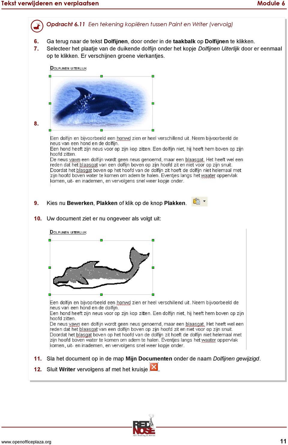 Selecteer het plaatje van de duikende dolfijn onder het kopje Dolfijnen Uiterlijk door er eenmaal op te klikken.