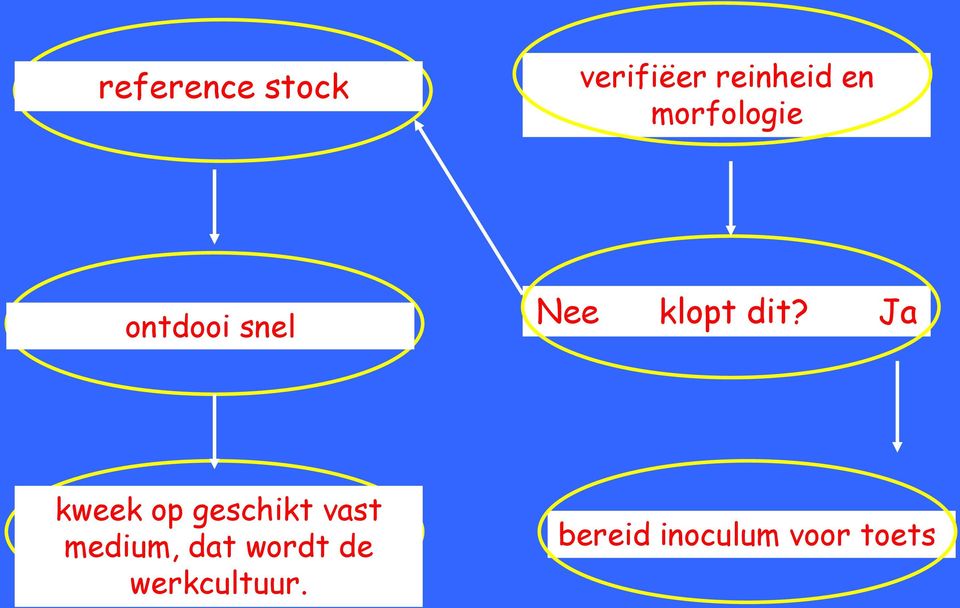 Ja kweek op geschikt vast medium, dat