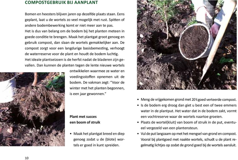 Maak het plantgat groot genoeg en gebruik compost, dan slaan de wortels gemakkelijker aan.