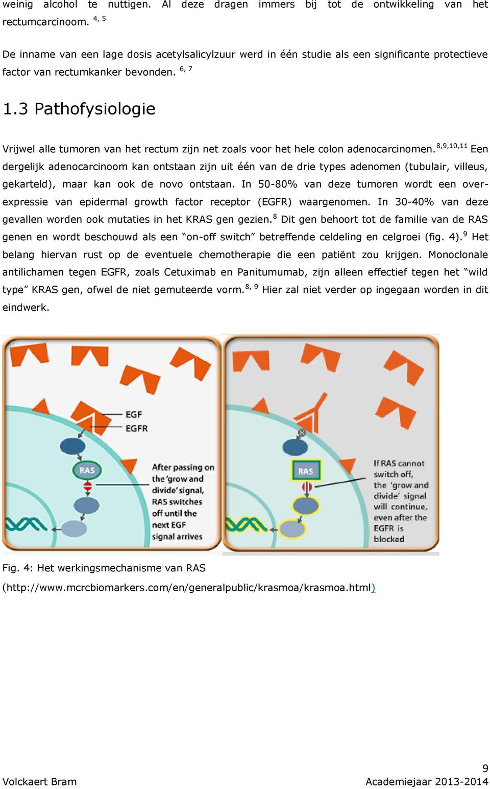 3 Pathofysiologie Vrijwel alle tumoren van het rectum zijn net zoals voor het hele colon adenocarcinomen.