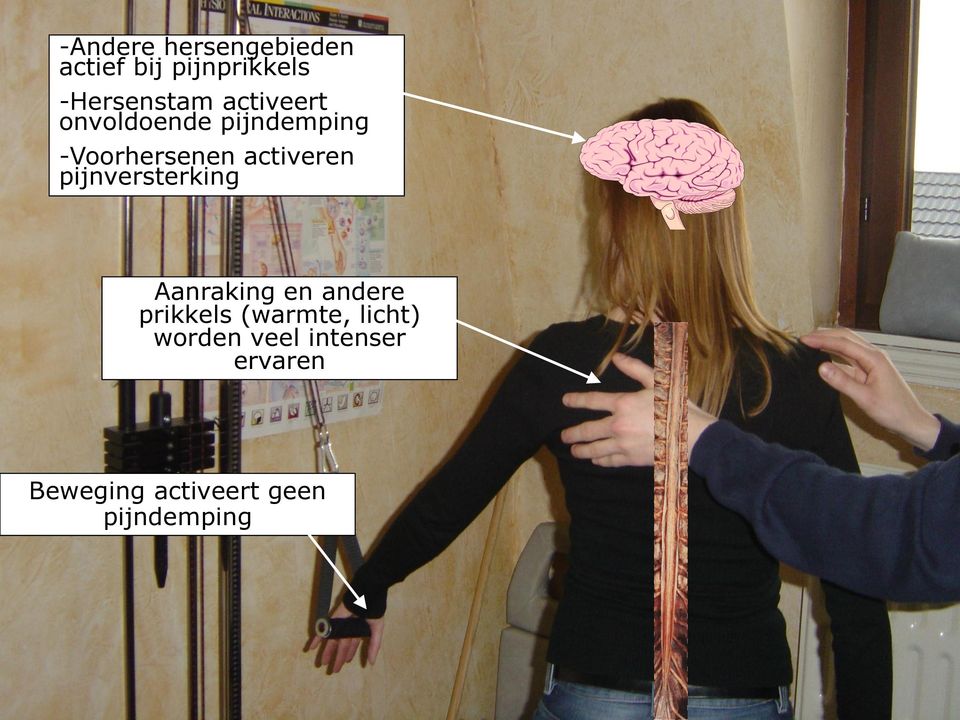 pijnversterking Aanraking en andere prikkels (warmte, licht)