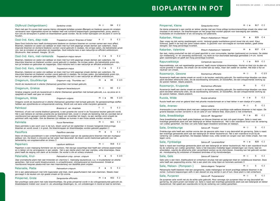 Kan ook als terrasplant in potten en bloebakken gezet worden. Na de winter bijknippen o de plant in vor te houden. Oost-Ind.