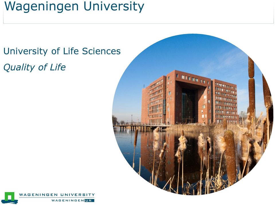 of Life Sciences