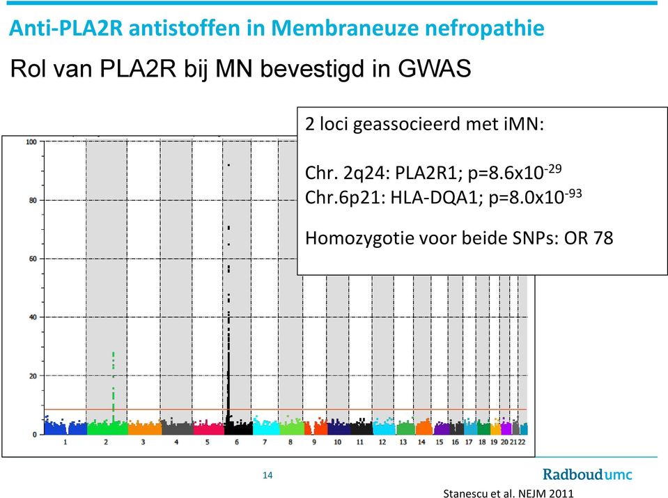 Chr. 2q24: PLA2R1; p=8.6x10-29 Chr.6p21: HLA-DQA1; p=8.