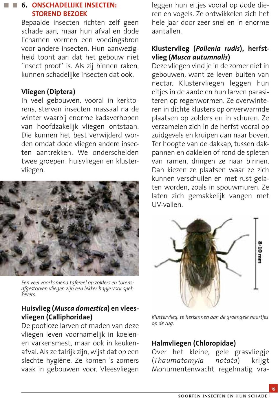 dieren in en op gebouwen insecten pdf free download