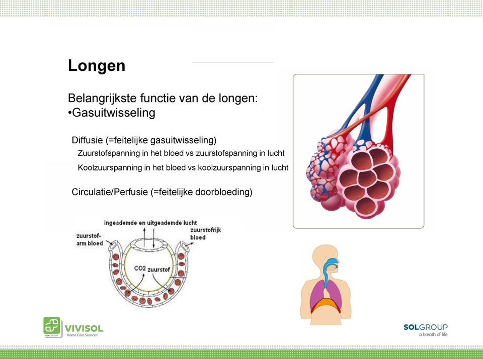 bloed vs zuurstofspanning in lucht Koolzuurspanning in het bloed