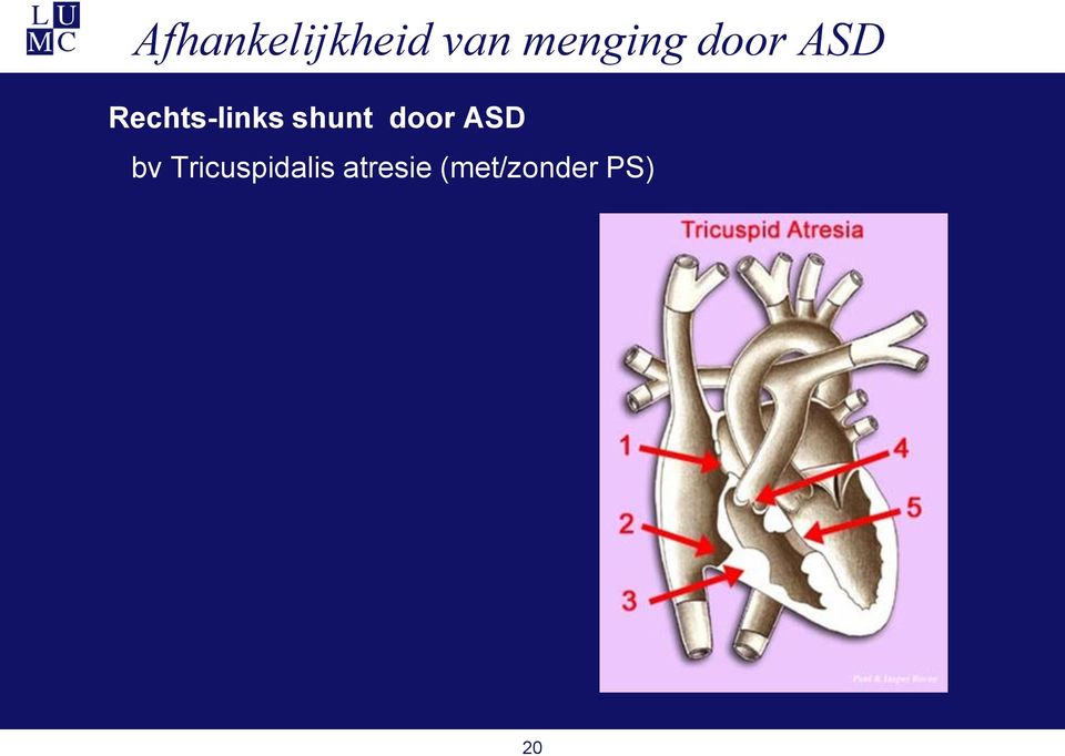 Rechts-links shunt door