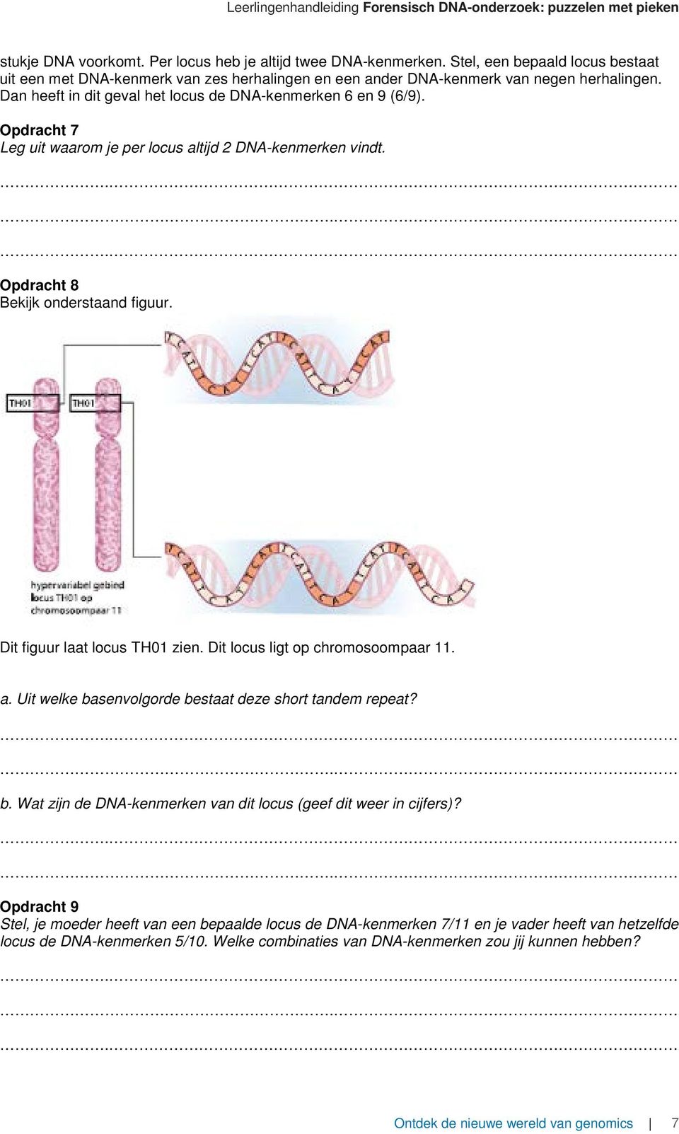 Dit figuur laat locus TH01 zien. Dit locus ligt op chromosoompaar 11. a. Uit welke basenvolgorde bestaat deze short tandem repeat? b. Wat zijn de DNA-kenmerken van dit locus (geef dit weer in cijfers)?