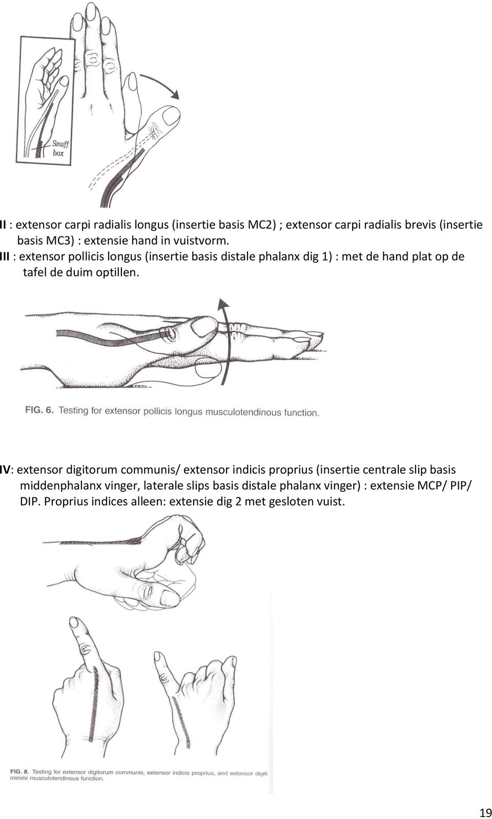 III : extensor pollicis longus (insertie basis distale phalanx dig 1) : met de hand plat op de tafel de duim optillen.