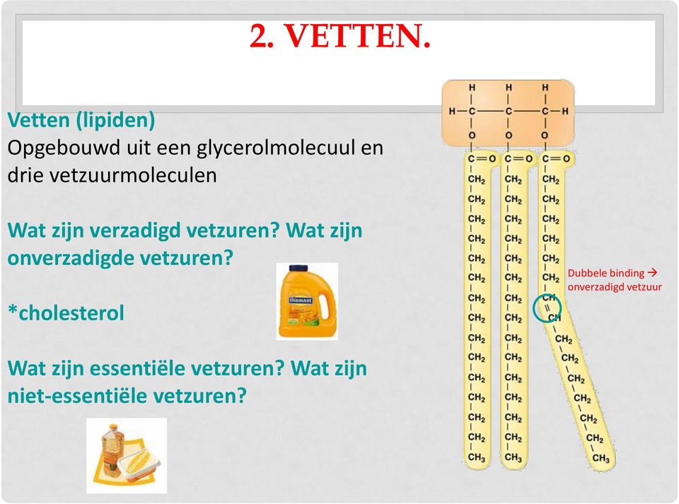 vetzuurmoleculen Wat zijn verzadigd vetzuren?