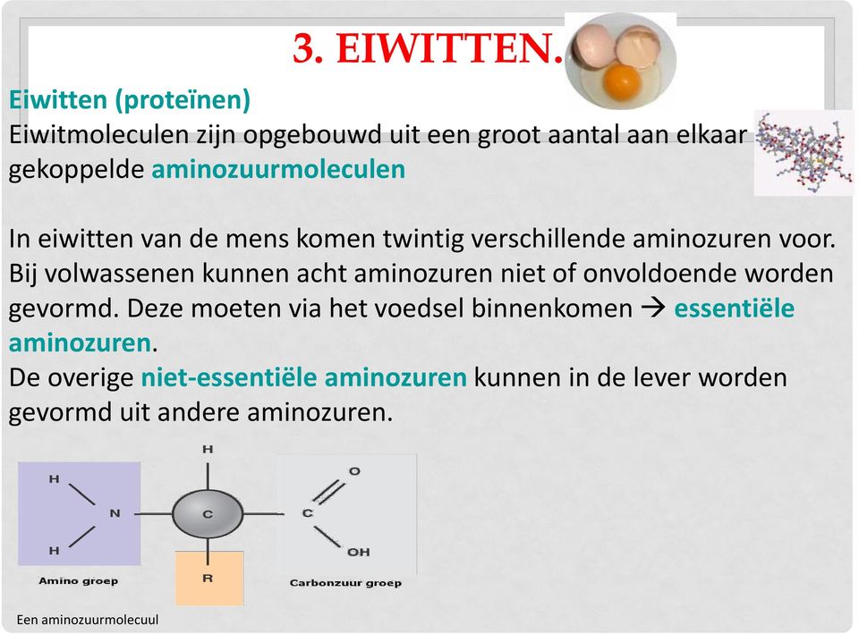 In eiwitten van de mens komen twintig verschillende aminozuren voor.