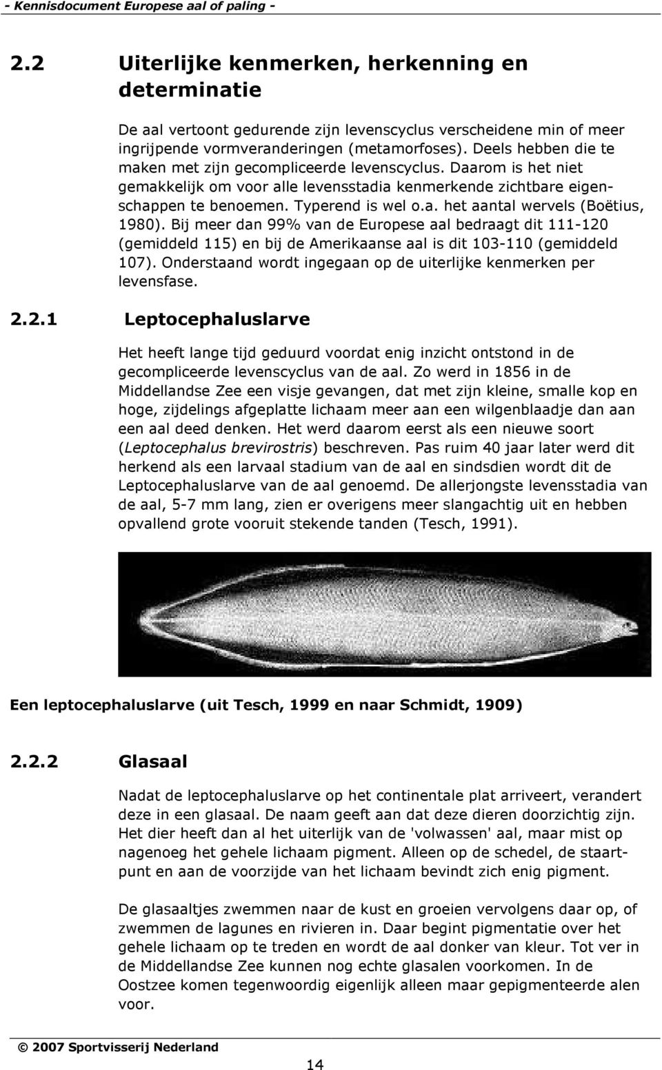 Deels hebben die te maken met zijn gecompliceerde levenscyclus. Daarom is het niet gemakkelijk om voor alle levensstadia kenmerkende zichtbare eigenschappen te benoemen. Typerend is wel o.a. het aantal wervels (Boëtius, 1980).