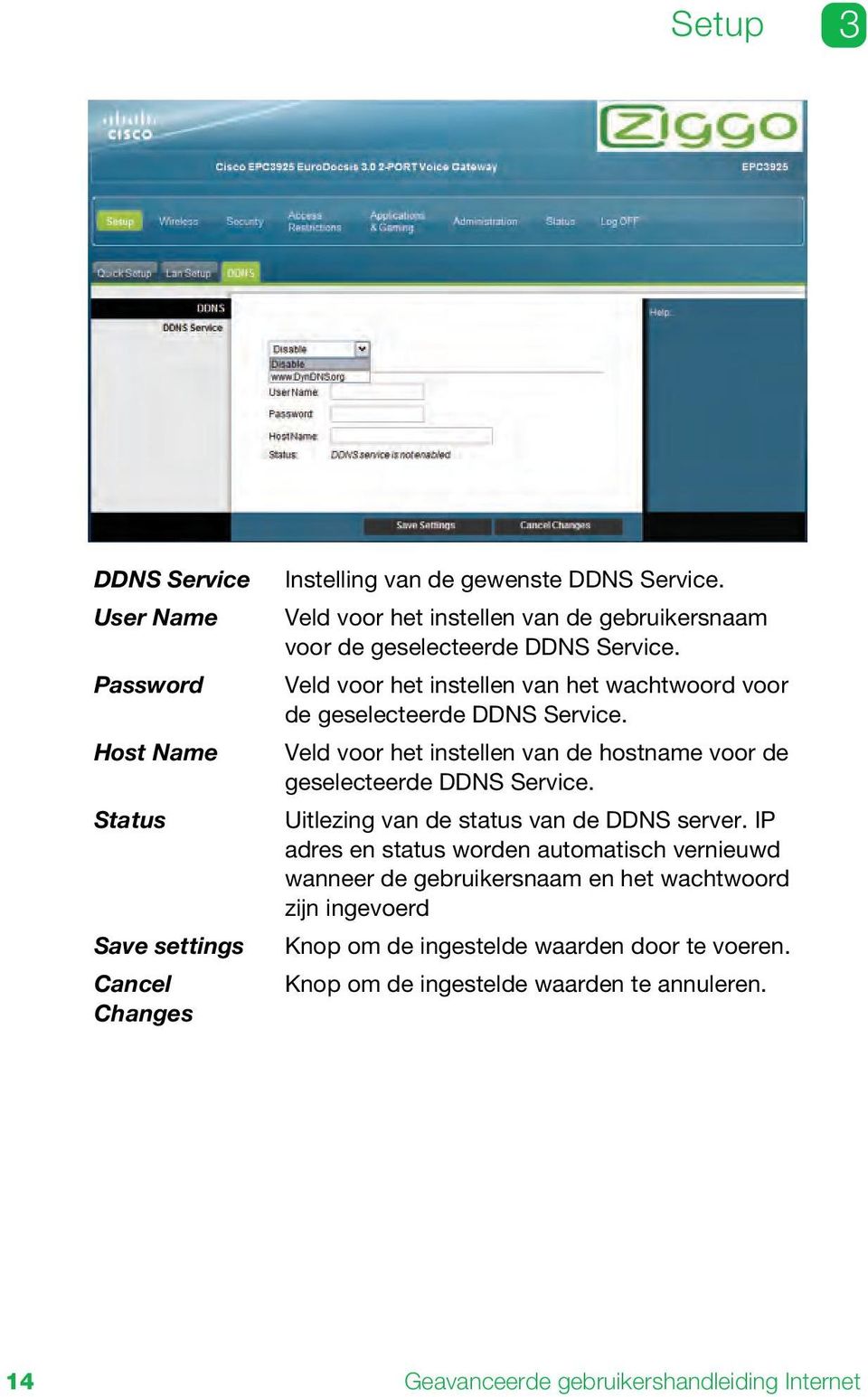 Veld voor het instellen van de hostname voor de geselecteerde DDNS Service. Uitlezing van de status van de DDNS server.