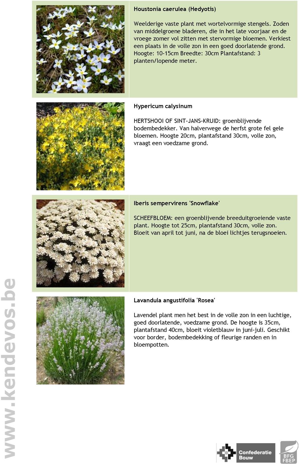 Overzicht Wintergroene Bodembedekkers Pdf Free Download