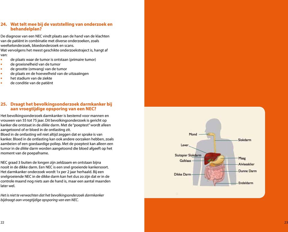 Wat vervolgens het meest geschikte onderzoekstraject is, hangt af van: de plaats waar de tumor is ontstaan (primaire tumor) de groeisnelheid van de tumor de grootte (omvang) van de tumor de plaats en