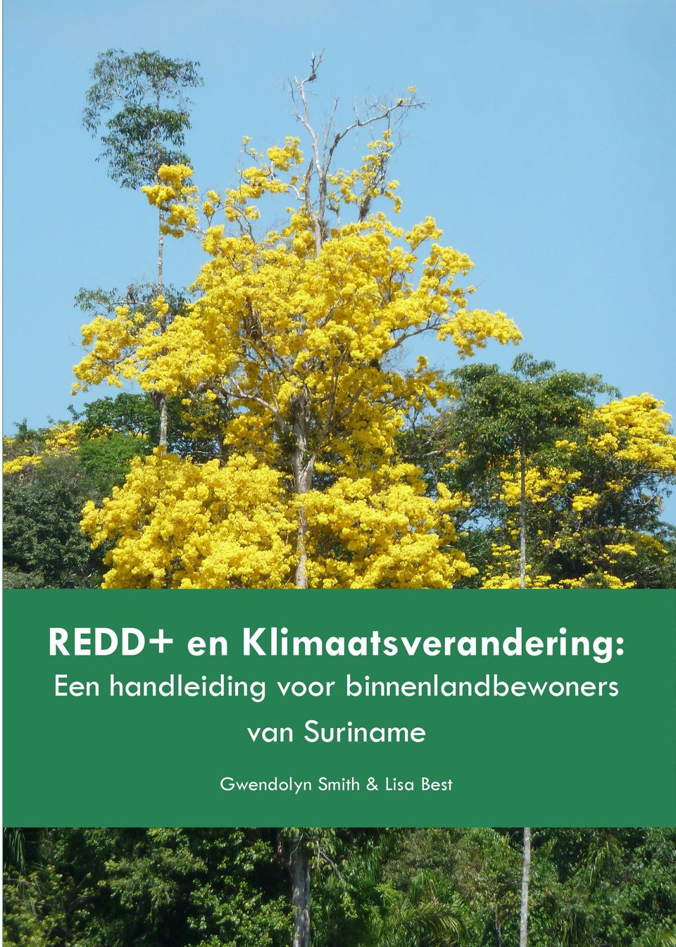 De uitvoerders zijn Tropenbos International Suriname (TBI Suriname) en Attune Development (Attune).