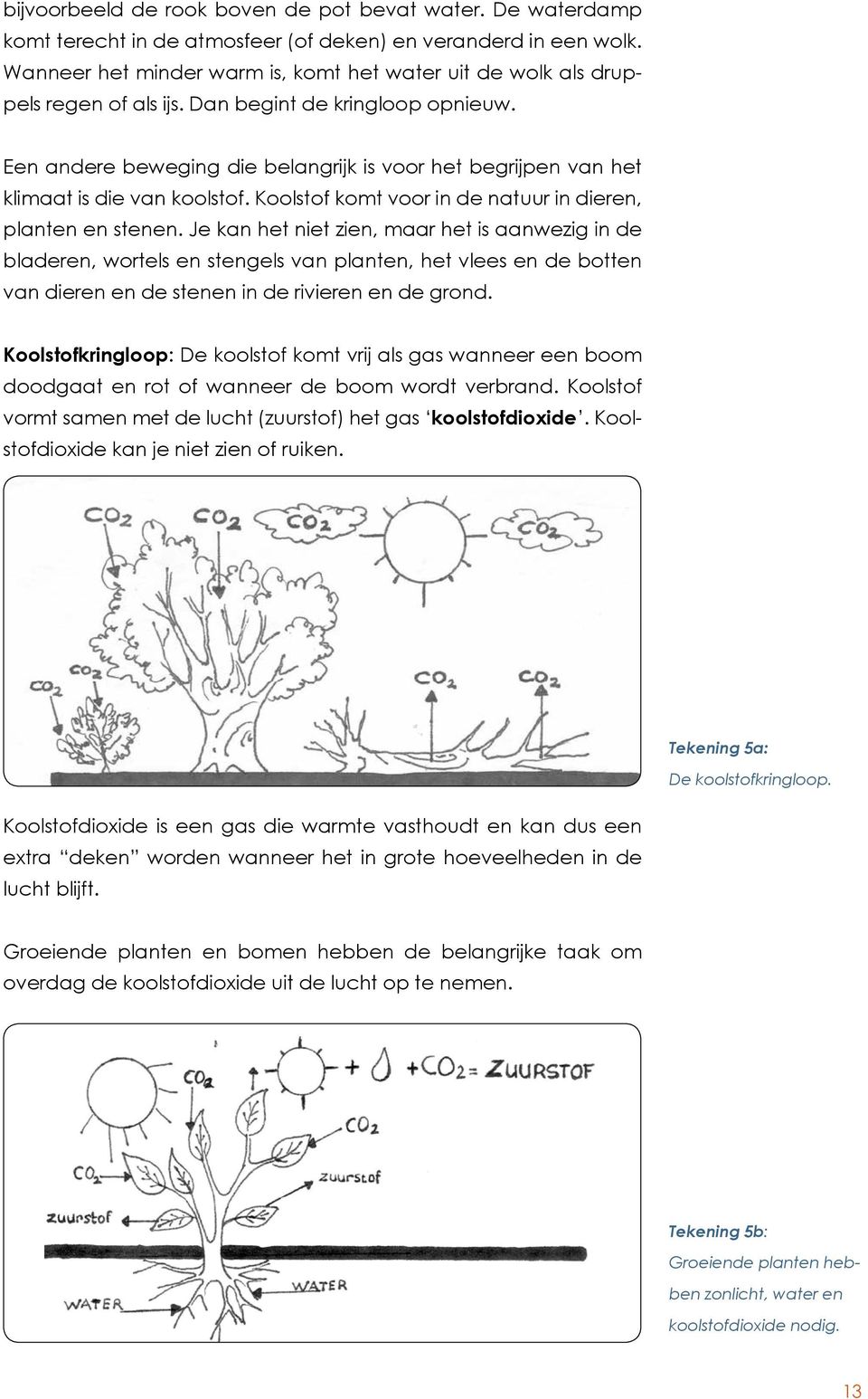 Een andere beweging die belangrijk is voor het begrijpen van het klimaat is die van koolstof. Koolstof komt voor in de natuur in dieren, planten en stenen.