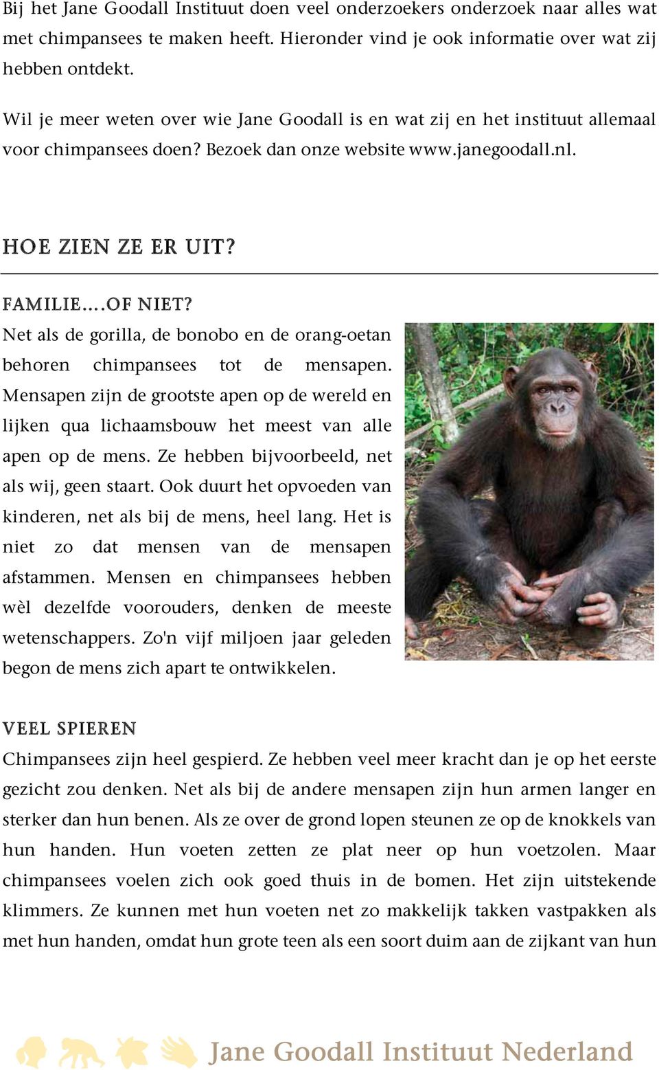 Net als de gorilla, de bonobo en de orang-oetan behoren chimpansees tot de mensapen. Mensapen zijn de grootste apen op de wereld en lijken qua lichaamsbouw het meest van alle apen op de mens.