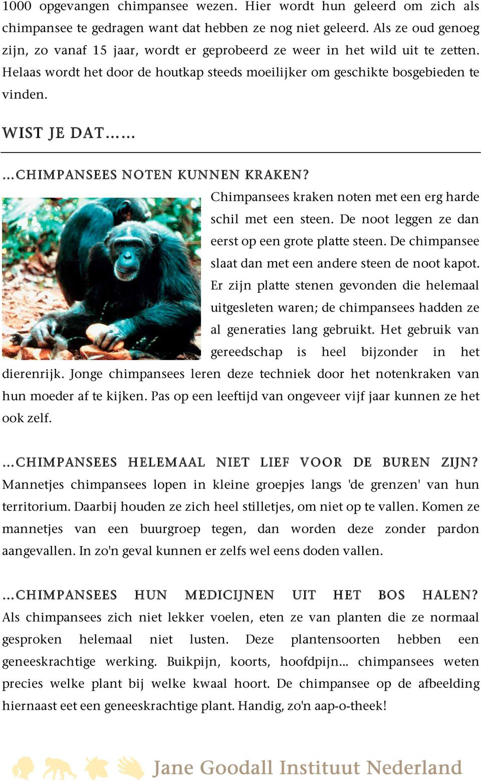 WIST JE DAT CHIMPANSEES NOTEN KUNNEN KRAKEN? Chimpansees kraken noten met een erg harde schil met een steen. De noot leggen ze dan eerst op een grote platte steen.