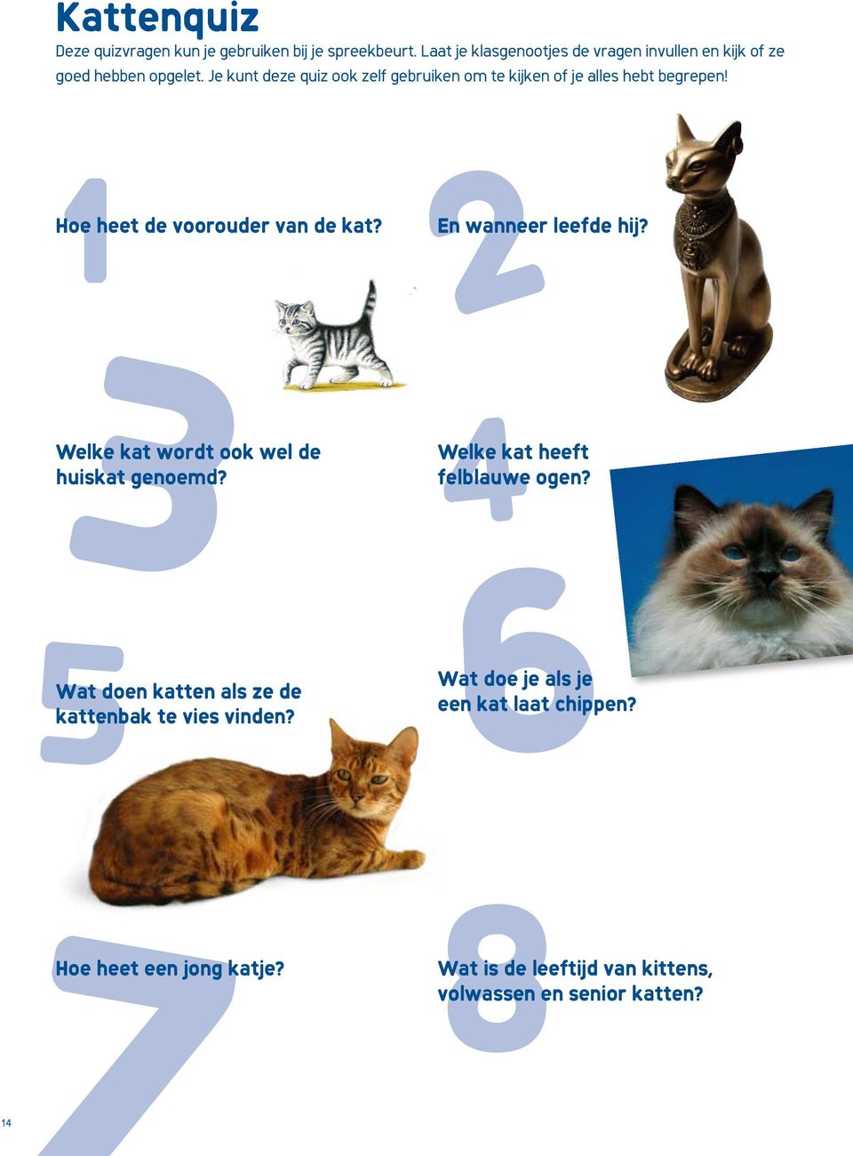 Je kunt deze quiz ook zelf gebruiken om te kijken of je alles hebt begrepen! 1 Hoe heet de voorouder van de kat?