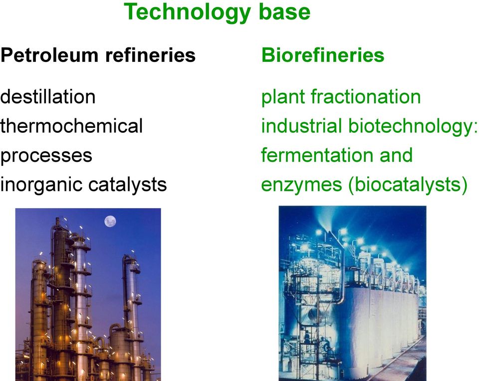 catalysts Biorefineries plant fractionation