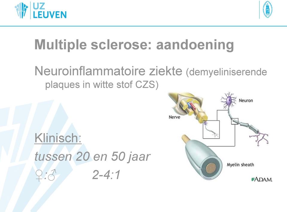 (demyeliniserende plaques in witte