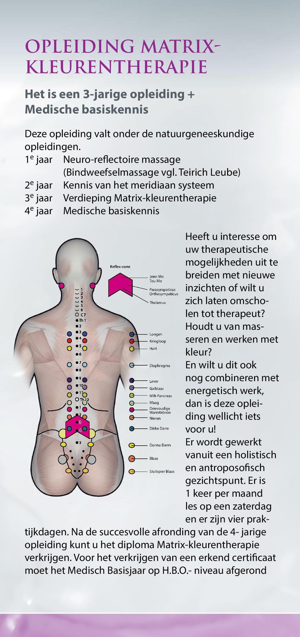 Teirich Leube) 2 e jaar Kennis van het meridiaan systeem 3 e jaar Verdieping Matrix-kleurentherapie 4 e jaar Medische basiskennis x-punten van meridianen en organen 10 Th 12 3 4 Reflex-zone Jenn Mo