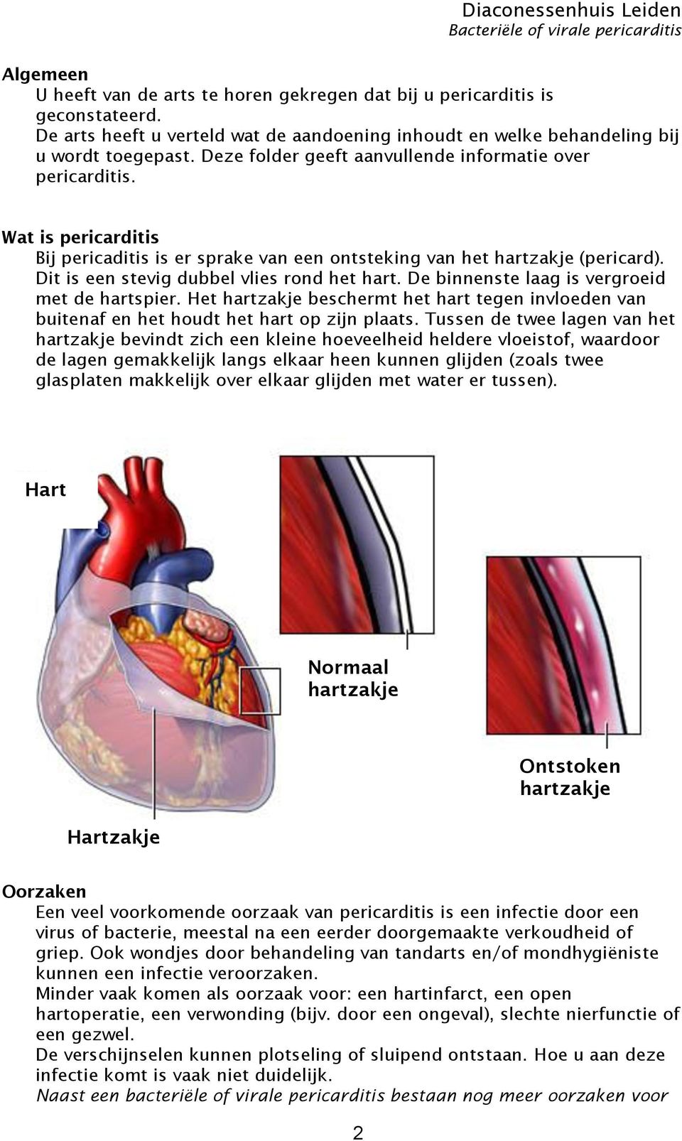 Dit is een stevig dubbel vlies rond het hart. De binnenste laag is vergroeid met de hartspier. Het hartzakje beschermt het hart tegen invloeden van buitenaf en het houdt het hart op zijn plaats.