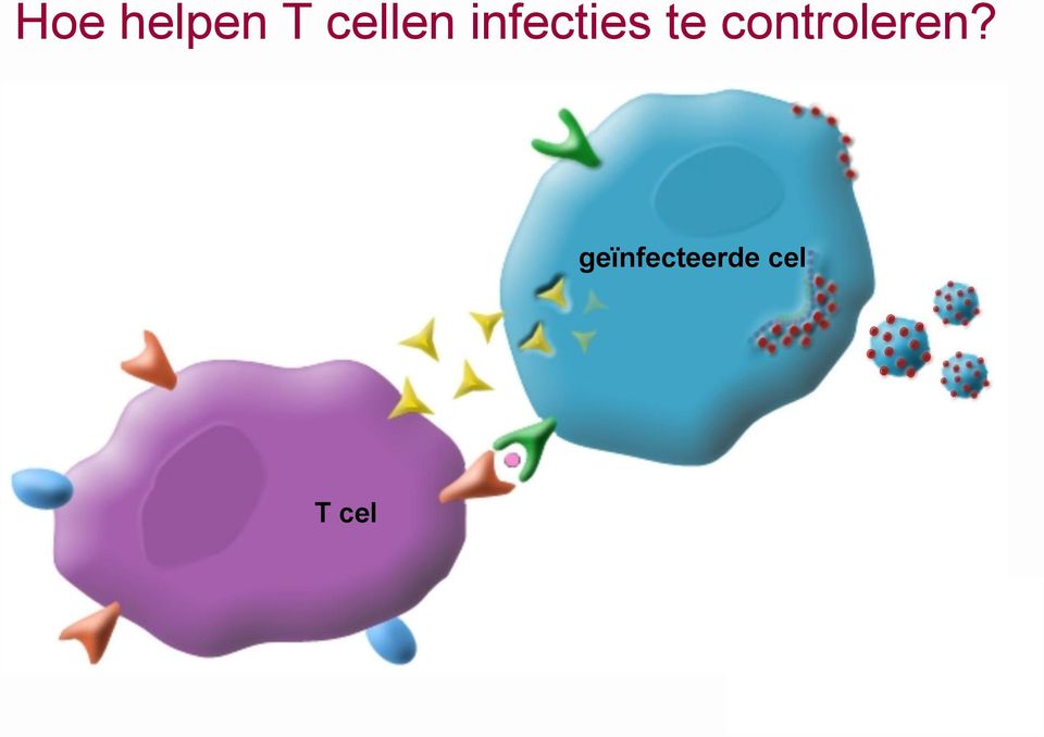 te controleren?