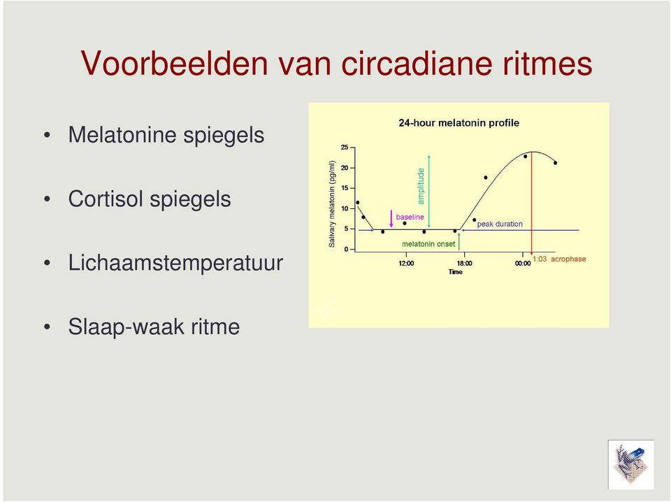 Cortisol spiegels