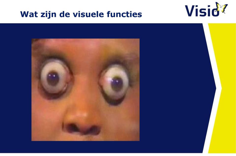 visuele