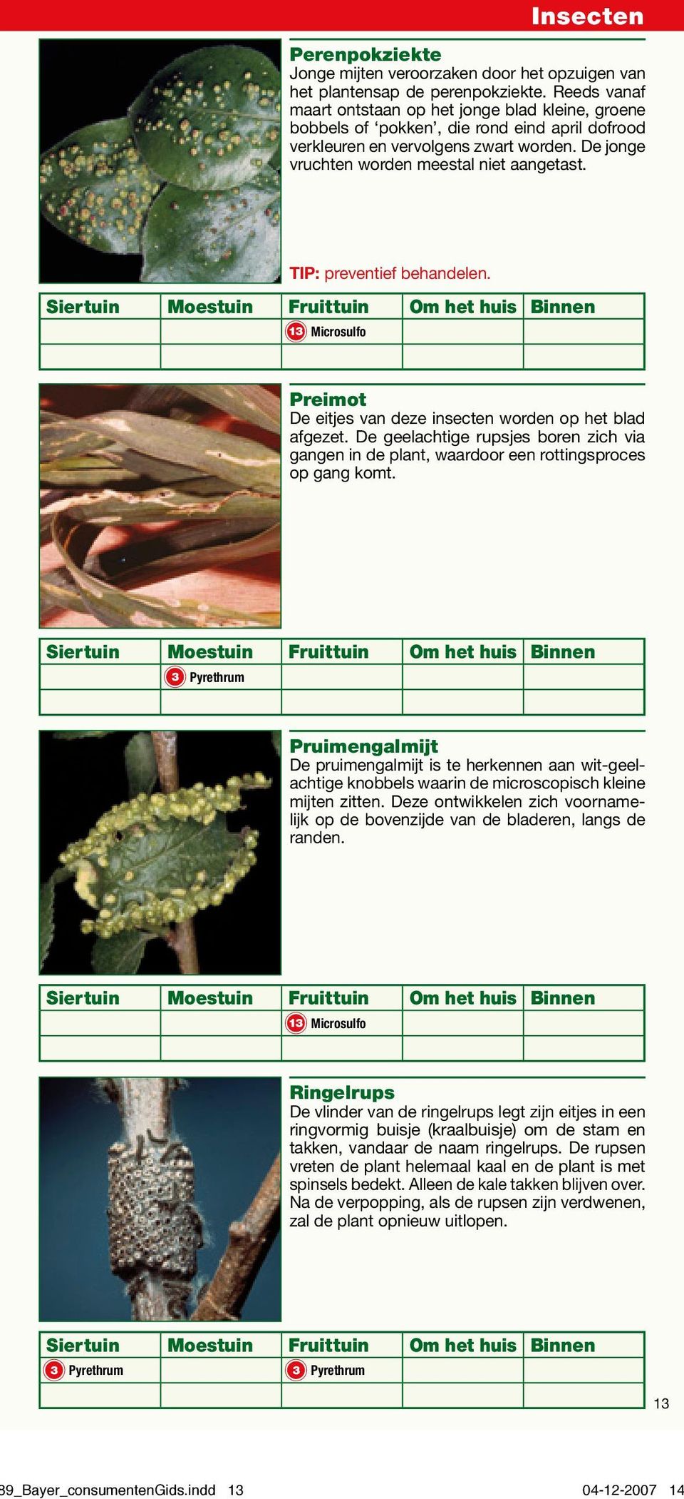 TIP: preventief behandelen. 13 Microsulfo Preimot De eitjes van deze insecten worden op het blad afgezet.