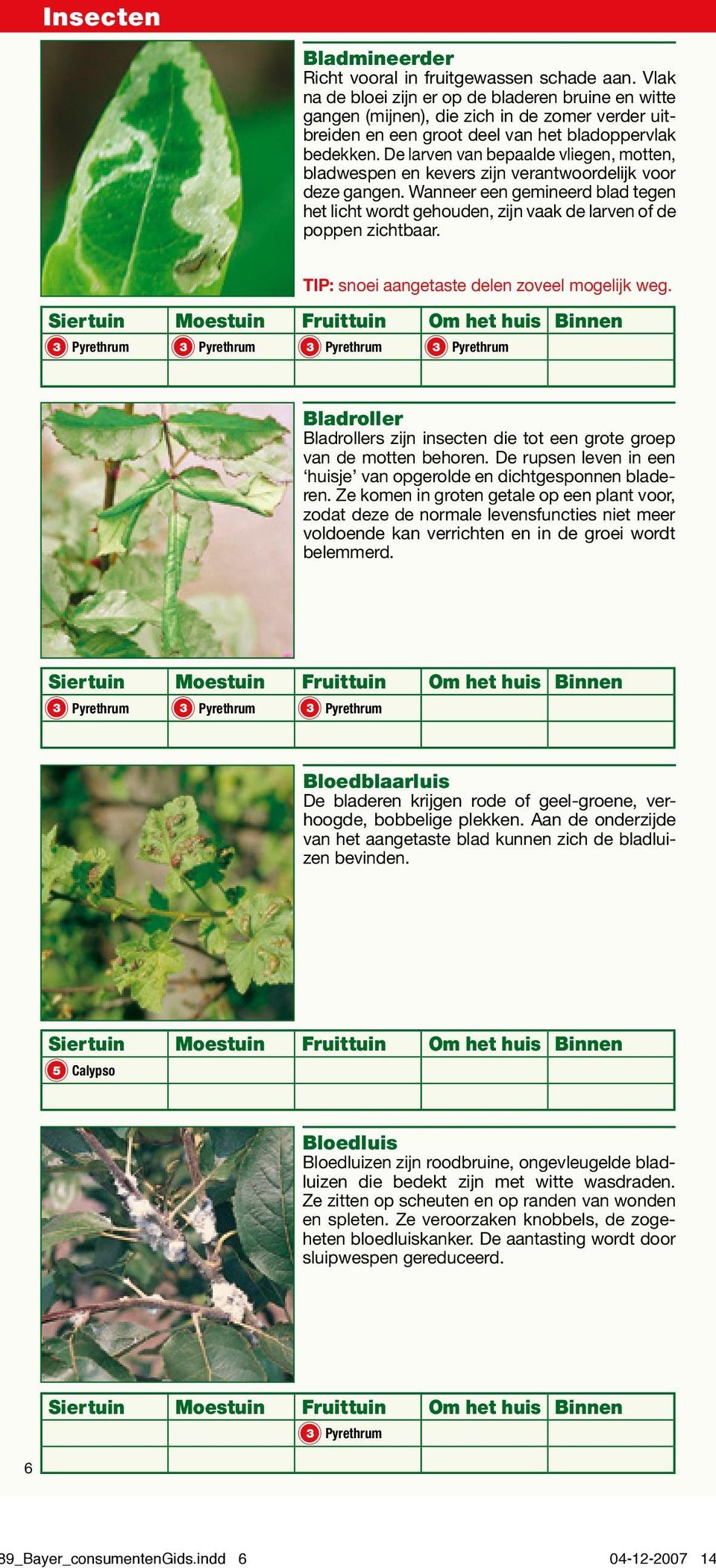 De larven van bepaalde vliegen, motten, bladwespen en kevers zijn verantwoordelijk voor deze gangen.