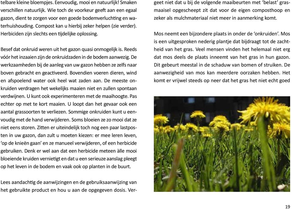 Herbiciden zijn slechts een tijdelijke oplossing. Besef dat onkruid weren uit het gazon quasi onmogelijk is. Reeds vóór het inzaaien zijn de onkruidzaden in de bodem aanwezig.