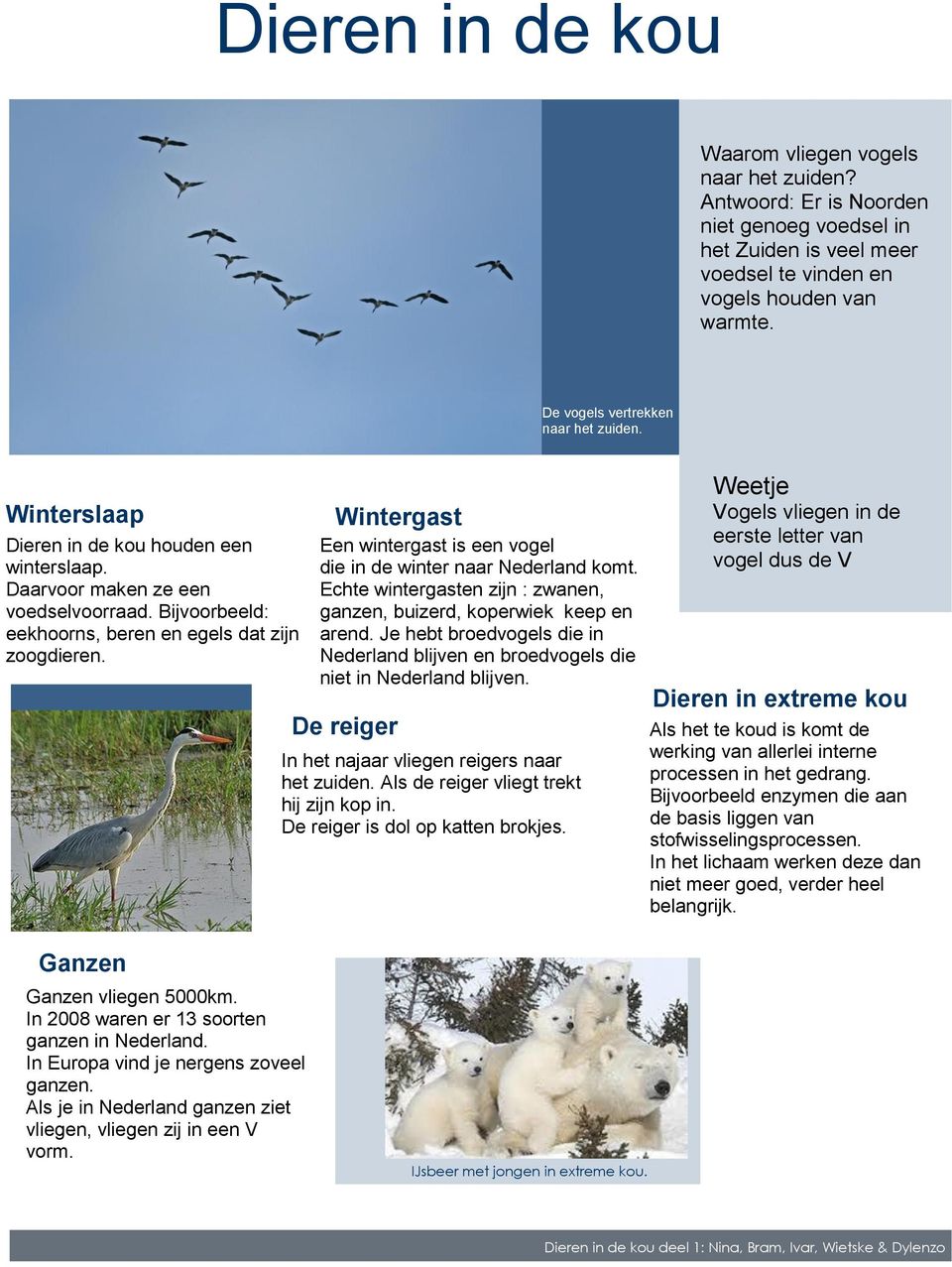 Wintergast Een wintergast is een vogel die in de winter naar Nederland komt. Echte wintergasten zijn : zwanen, ganzen, buizerd, koperwiek keep en arend.