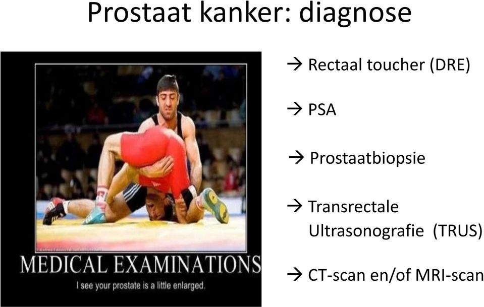 Prostaatbiopsie Transrectale