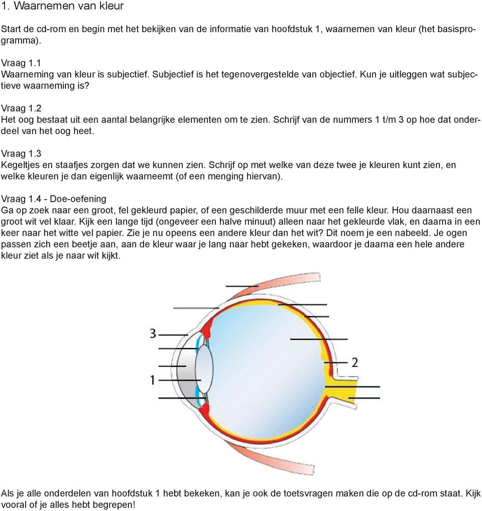 Schrijf van de nummers 1 t/m 3 op hoe dat onderdeel van het oog heet. Vraag 1.3 Kegeltjes en staafjes zorgen dat we kunnen zien.