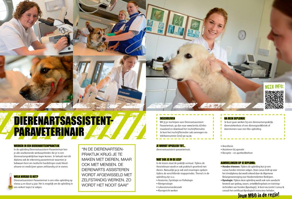 WERKEN IN EEN DIERENARTSENPRAKTIJK In de opleiding Dierenartsassistent-Paraveterinair leer je alle voorkomende werkzaamheden die je in een dierenartsenpraktijk kan tegen komen.