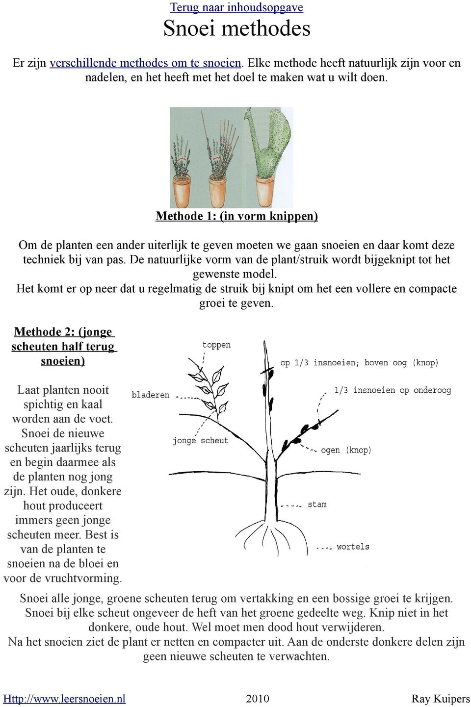 De natuurlijke vorm van de plant/struik wordt bijgeknipt tot het gewenste model. Het komt er op neer dat u regelmatig de struik bij knipt om het een vollere en compacte groei te geven.