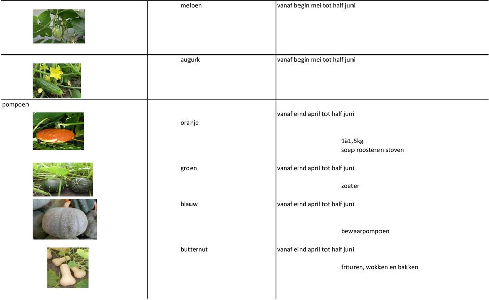 tot half juni 1à1,5kg soep roosteren stoven zoeter vanaf eind april tot half