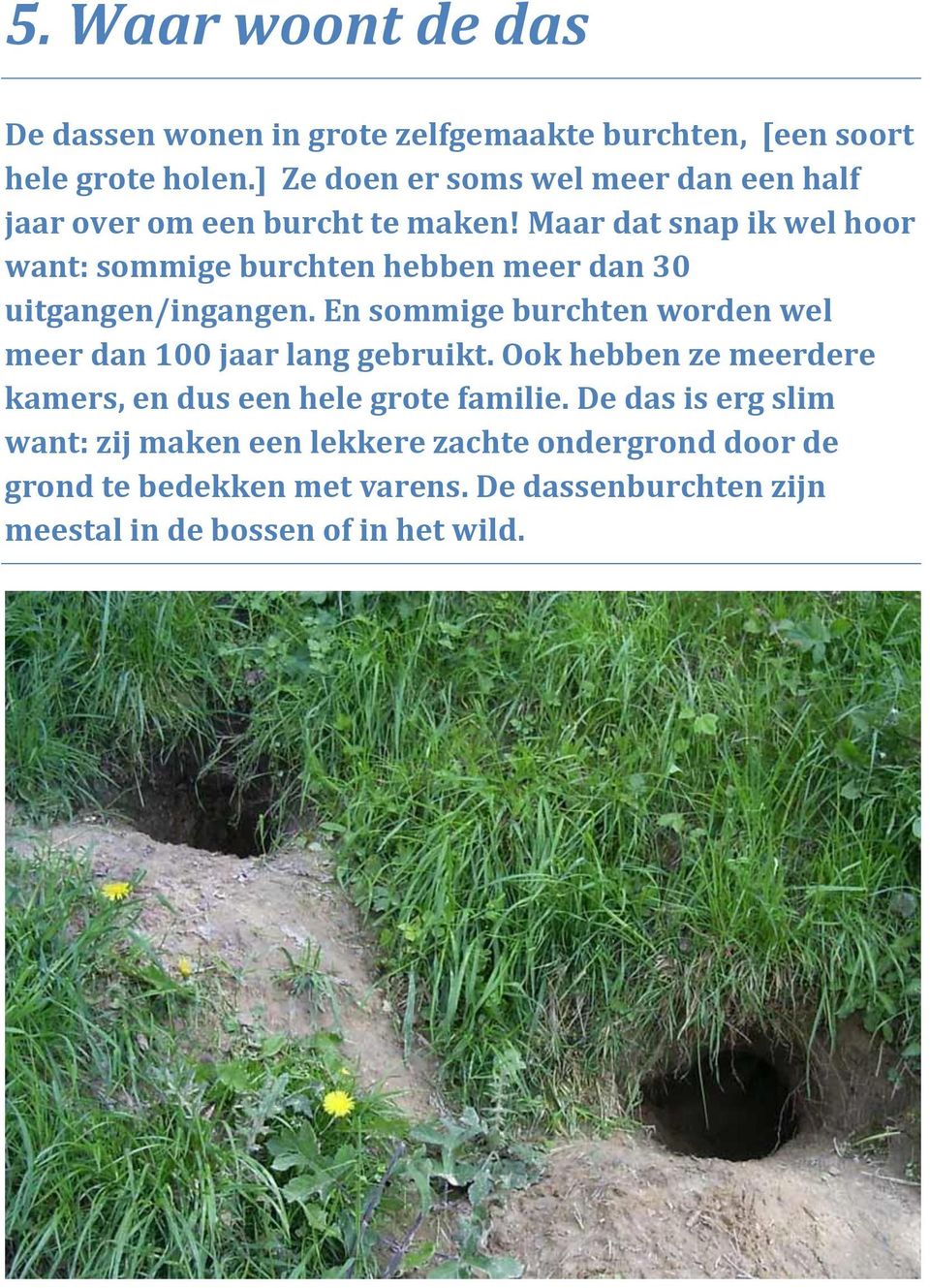 Maar dat snap ik wel hoor want: sommige burchten hebben meer dan 30 uitgangen/ingangen.