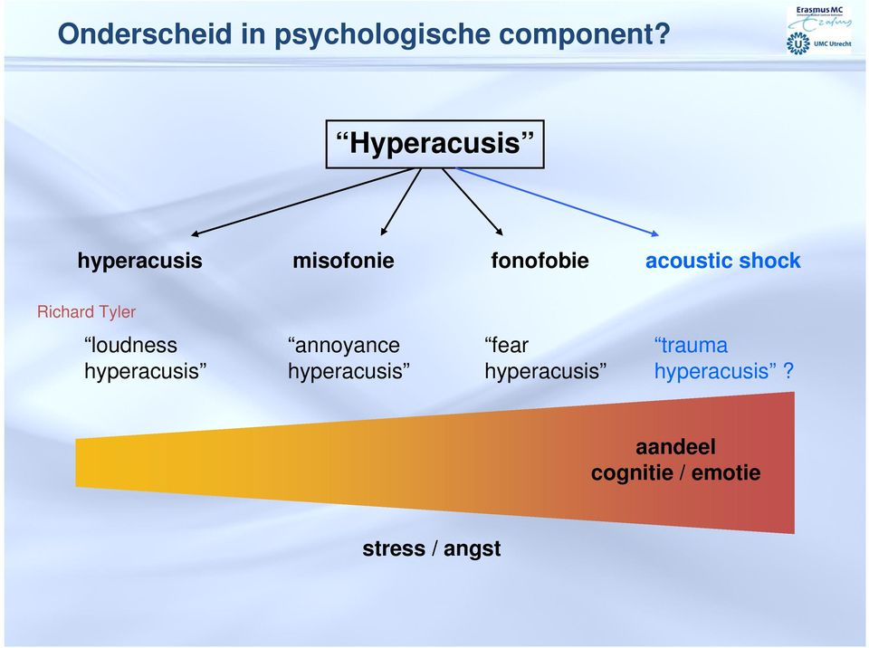 Richard Tyler loudness hyperacusis annoyance hyperacusis