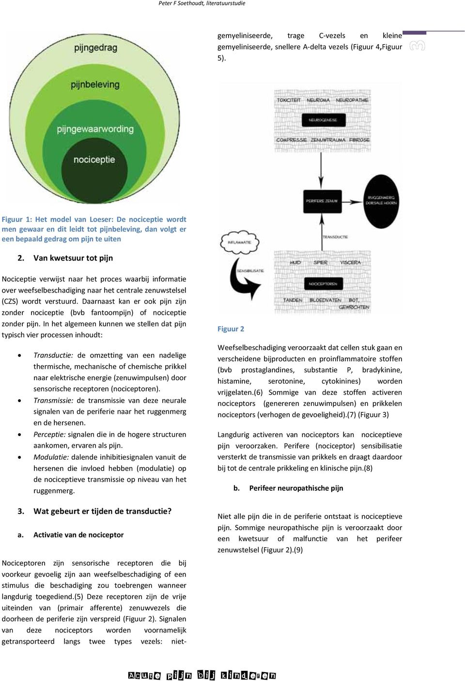 Signalen van deze nociceptors worden voornamelijk getransporteerd langs twee types vezels: nietgemyeliniseerde, trage C-vezels en kleine gemyeliniseerde, snellere A-delta vezels (Figuur 4,Figuur 5).