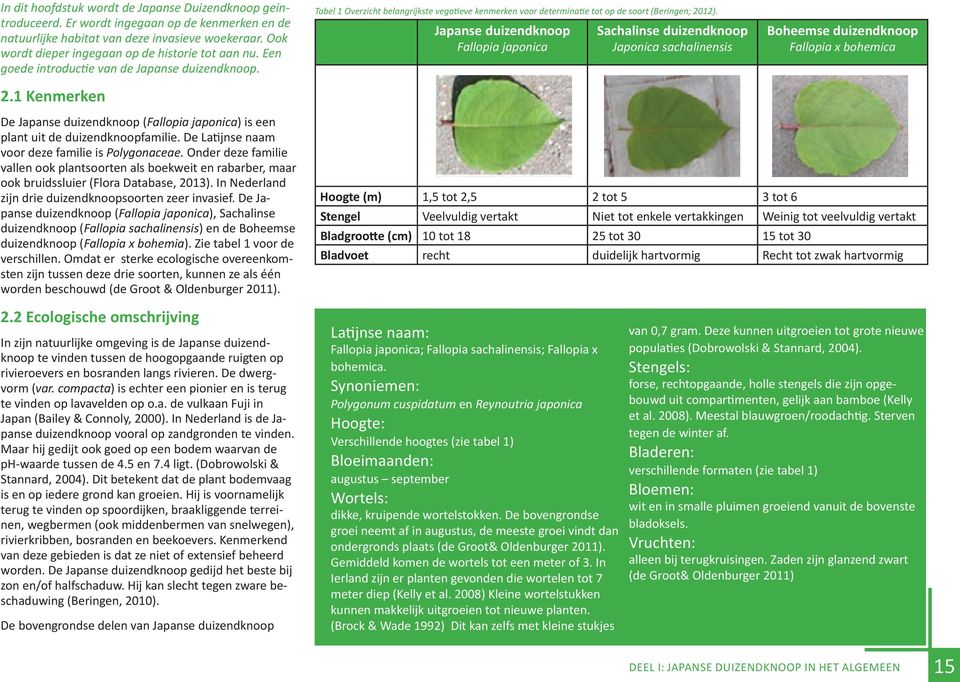 1 Kenmerken Tabel 1 Overzicht belangrijkste vegatieve kenmerken voor determinatie tot op de soort (Beringen; 2012).