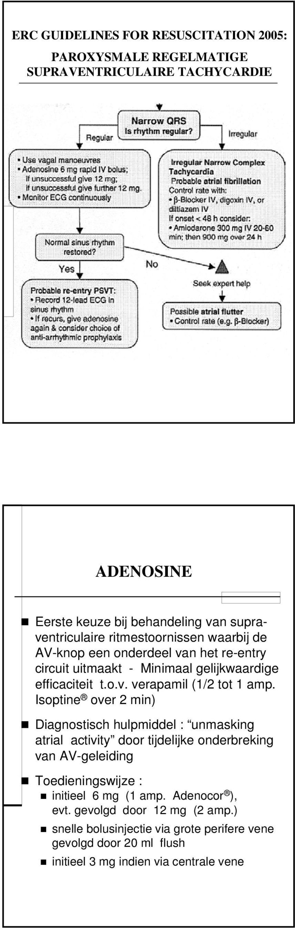 Isoptine over 2 min) Diagnostisch hulpmiddel : unmasking atrial activity door tijdelijke onderbreking van AV-geleiding Toedieningswijze : initieel 6 mg (1