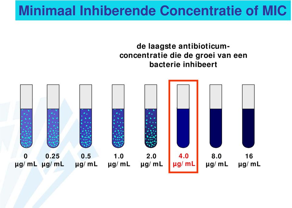 van een bacterie inhibeert 0 µg/ml 0.25 µg/ml 0.